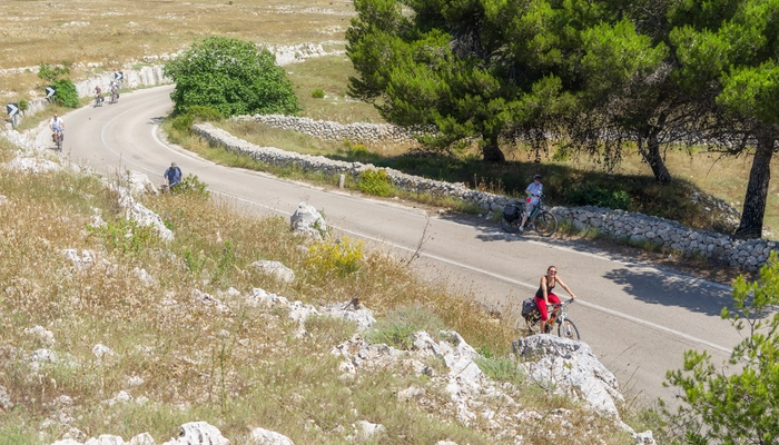 Family tour  in Salento 