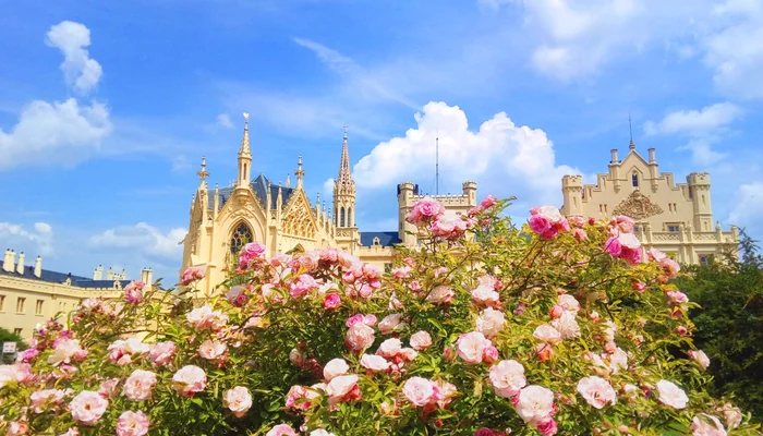 Prague - Vienna UNESCO Tour