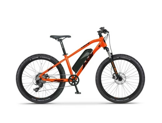 Kid E-bike 