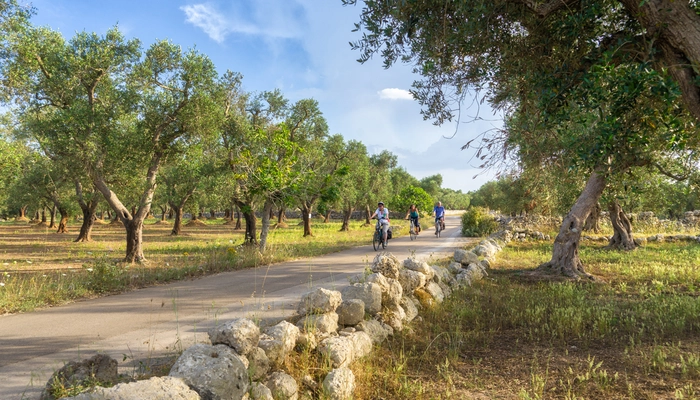 Family tour  in Salento 