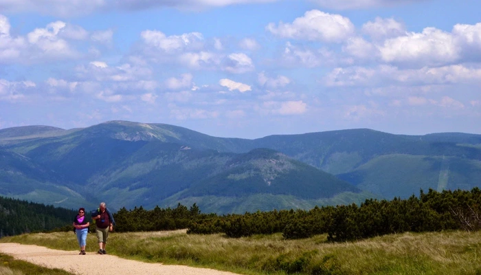 Elbe trail